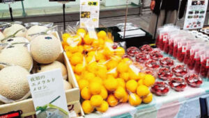 ライムランド期間限定販売