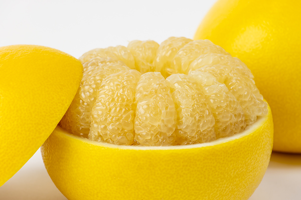 第16回 土佐・ぶんたん祭